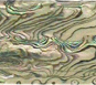 Green Dark abalone veneer