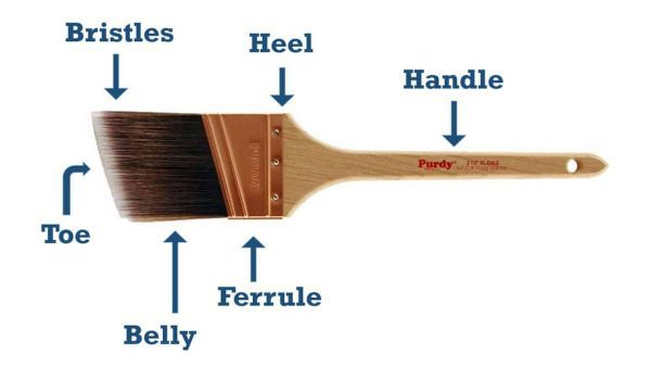 natomy of a paint brush