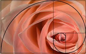 Scale and Proportion in Decorative arts