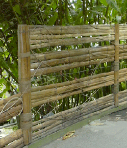 Japanese design bonsai garden