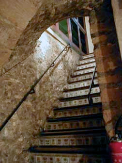 Rustic French Style windows